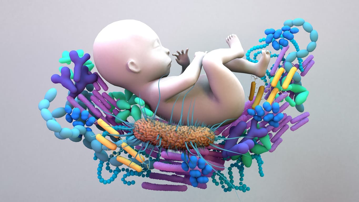 bambino e microbiota